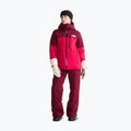 Dámska lyžiarska bunda The North Face Freedom Insulated lali guran/burg 2