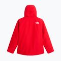 Pánska lyžiarska bunda The North Face Descendit elevation red 6