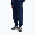 Pánske nohavice The North Face Evolution Simple Dome Regular Joggers summit navy