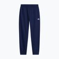 Pánske nohavice The North Face Evolution Simple Dome Regular Joggers summit navy 4