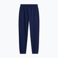 Pánske nohavice The North Face Evolution Simple Dome Regular Joggers summit navy 5