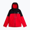 Pánska lyžiarska bunda The North Face Freedom Insulated elevation red/tnf black 5