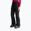 Dámske lyžiarske nohavice The North Face Lenado tnf black