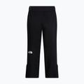 Dámske lyžiarske nohavice The North Face Lenado tnf black 5