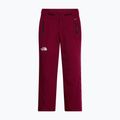 Dámske lyžiarske nohavice The North Face Lenado burgundy crush