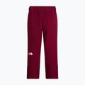 Dámske lyžiarske nohavice The North Face Lenado burgundy crush 2