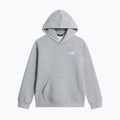 Detská mikina The North Face Evolution Simple Dome Pullover Hood tnf pale grey heather