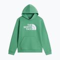Detská mikina The Noryh Face Essential Drew Peak Hoodie dimmed algae