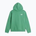 Detská mikina The Noryh Face Essential Drew Peak Hoodie dimmed algae 2