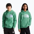 Detská mikina The Noryh Face Essential Drew Peak Hoodie dimmed algae 3
