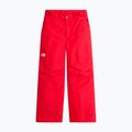 Detské lyžiarske nohavice The North Face Freedom Insulated elevation red 4