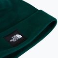 Zimná čiapka The North Face Dock Worker Recycled Beanie hunter green 2