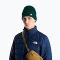 Zimná čiapka The North Face Dock Worker Recycled Beanie hunter green 3