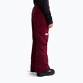 Detské lyžiarske nohavice The North Face Freedom Insulated burgundy crush 3