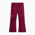 Detské lyžiarske nohavice The North Face Freedom Insulated burgundy crush 4