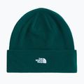 Zimná čiapka The North Face Norm Beanie hunter green