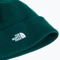 Zimná čiapka The North Face Norm Beanie hunter green 2
