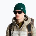 Zimná čiapka The North Face Norm Beanie hunter green 3