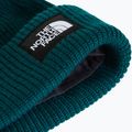 Zimná čiapka The North Face Salty Lined pacific teal 2