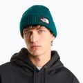 Zimná čiapka The North Face Salty Lined pacific teal 3