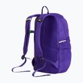 Mestský batoh The North Face Court Jester elevation purple 3