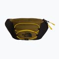 Ľadvinka The North Face Jester Lumbar 2,2 l caraway seed/tnf black