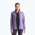Pánska fleecová mikina The North Face Glacier Fleece grounded plum 4