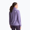 Pánska fleecová mikina The North Face Glacier Fleece grounded plum 3