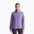 Pánska fleecová mikina The North Face Glacier Fleece grounded plum