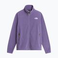Pánska fleecová mikina The North Face Glacier Fleece grounded plum 5
