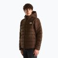 Pánska zateplená bunda The North Face Aconcalgia Hooded dark chestnut 4