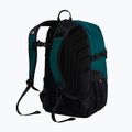 Mestský batoh The North Face Borealis Classic pacific teal/restorative 3