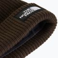 Zimná čiapka The North Face Salty Lined dark chestnut 2