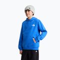 Detská mikina The North Face Evolution Box NSE Pullover Hoodies active blue 5