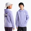 Detská mikina The North Face Evolution Box NSE Pullover Hoodies pale plum