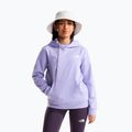 Detská mikina The North Face Evolution Box NSE Pullover Hoodies pale plum 2