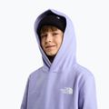Detská mikina The North Face Evolution Box NSE Pullover Hoodies pale plum 6