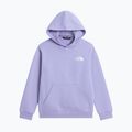 Detská mikina The North Face Evolution Box NSE Pullover Hoodies pale plum 7