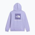 Detská mikina The North Face Evolution Box NSE Pullover Hoodies pale plum 8