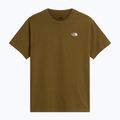 Pánske tričko The North Face Evolution Simple Dome Regular SS caraway seed 4