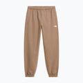 Dámske nohavice The North Face Evolution Simple Dome Regular garnet 4