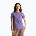 Dámske tričko The North Face Evolution Simple Dome Slim SS grounded plum