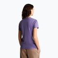 Dámske tričko The North Face Evolution Simple Dome Slim SS grounded plum 3