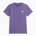 Dámske tričko The North Face Evolution Simple Dome Slim SS grounded plum 4