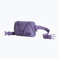 Ľadvinka The North Face Terra Lumbar 1 l grounded plum/endless 2