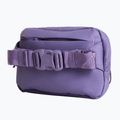 Ľadvinka The North Face Terra Lumbar 1 l grounded plum/endless 3