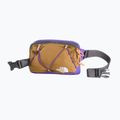 Ľadvinka The North Face Terra Lumbar 1 l utility brown/peak purple