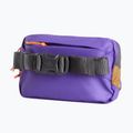 Ľadvinka The North Face Terra Lumbar 1 l utility brown/peak purple 3