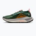 Pánske bežecké topánky Nike Zegama 2 fir/desert ochre/college grey/sail 2