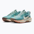 Dámske bežecké topánky Nike Pegasus Trail 5 cannon / soft pearl / mink brown 3